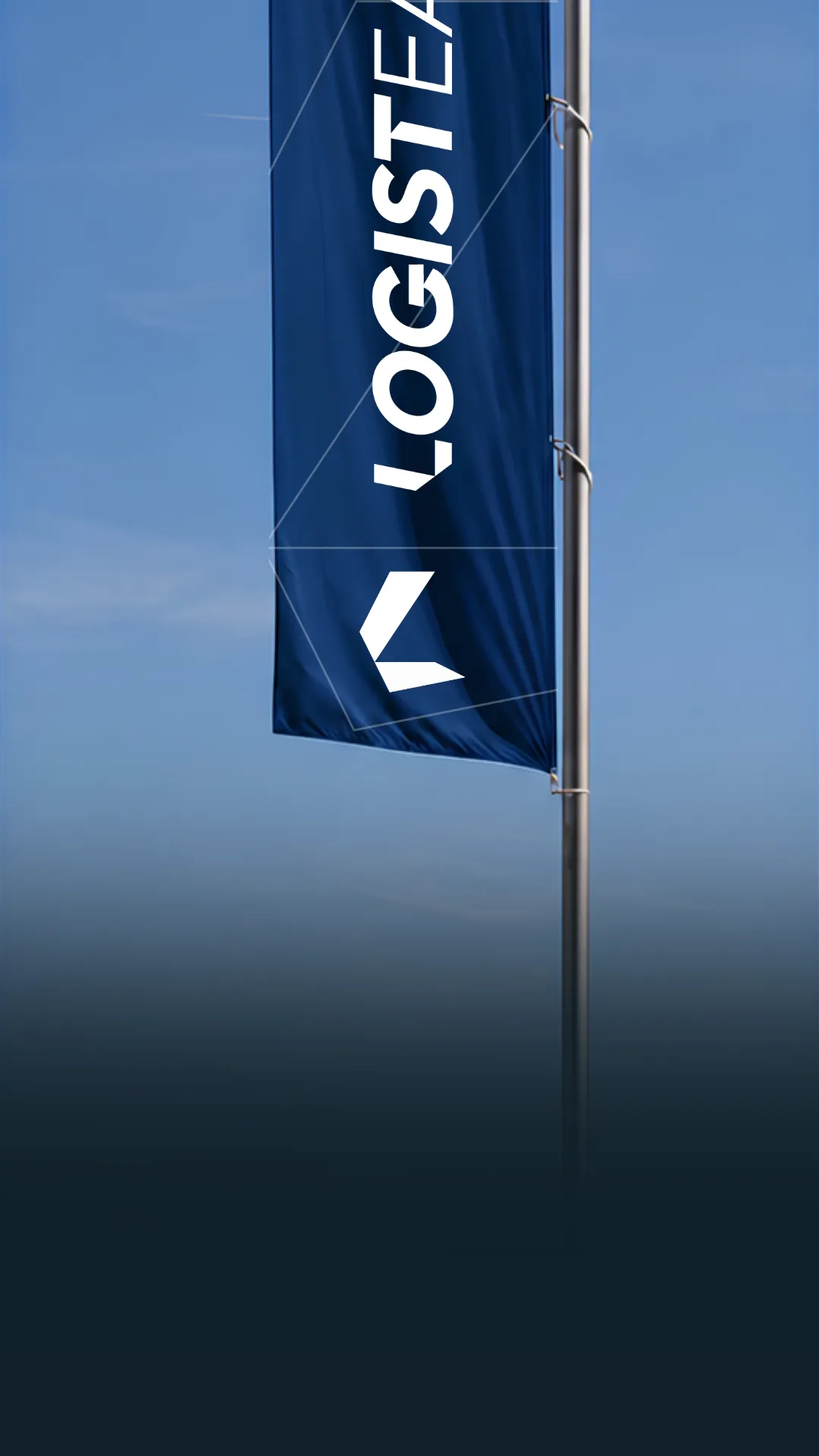 Photo : drapeau Logisteasy